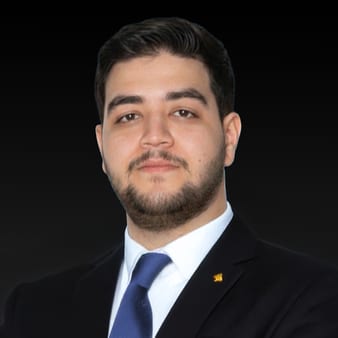 Ing. Ziad Ahmed